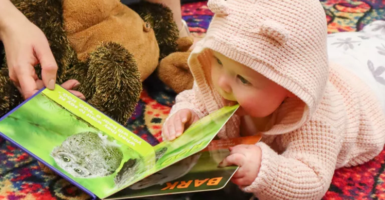 Baby holding a picture book.