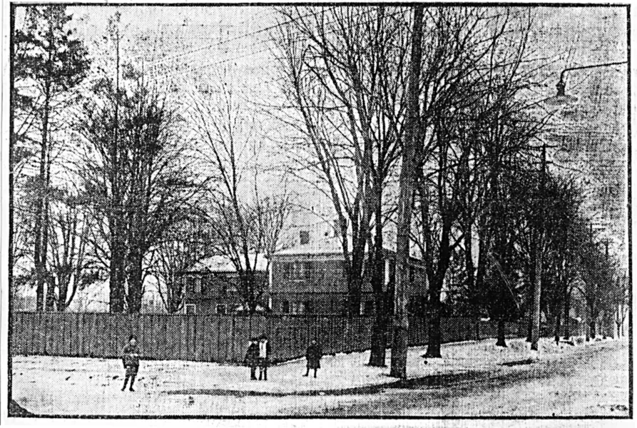 Black and white photo of a snow covered street with tall but bare trees