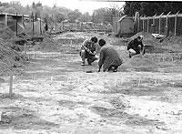 Black and white photo of people working at an archaeological site