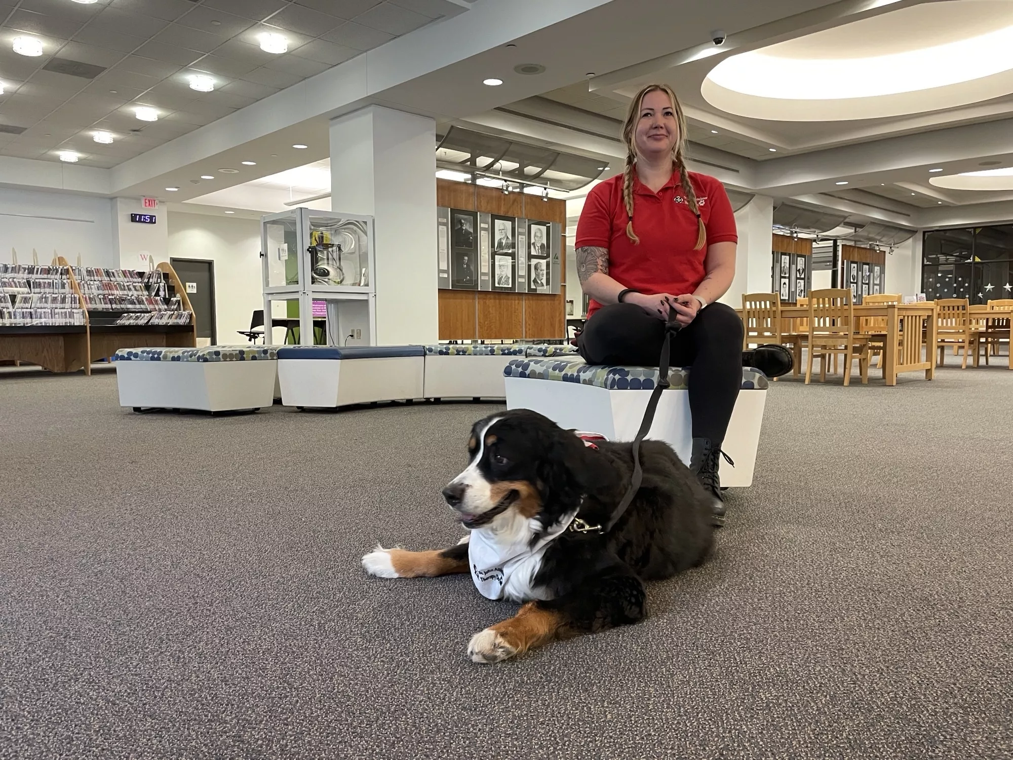 Photo of a Bermese Mountain Dog with St Johns Therapy Dog bandana lying on floor at Central Library. Her leash is held by her owner in a red St Johns golf shirt.