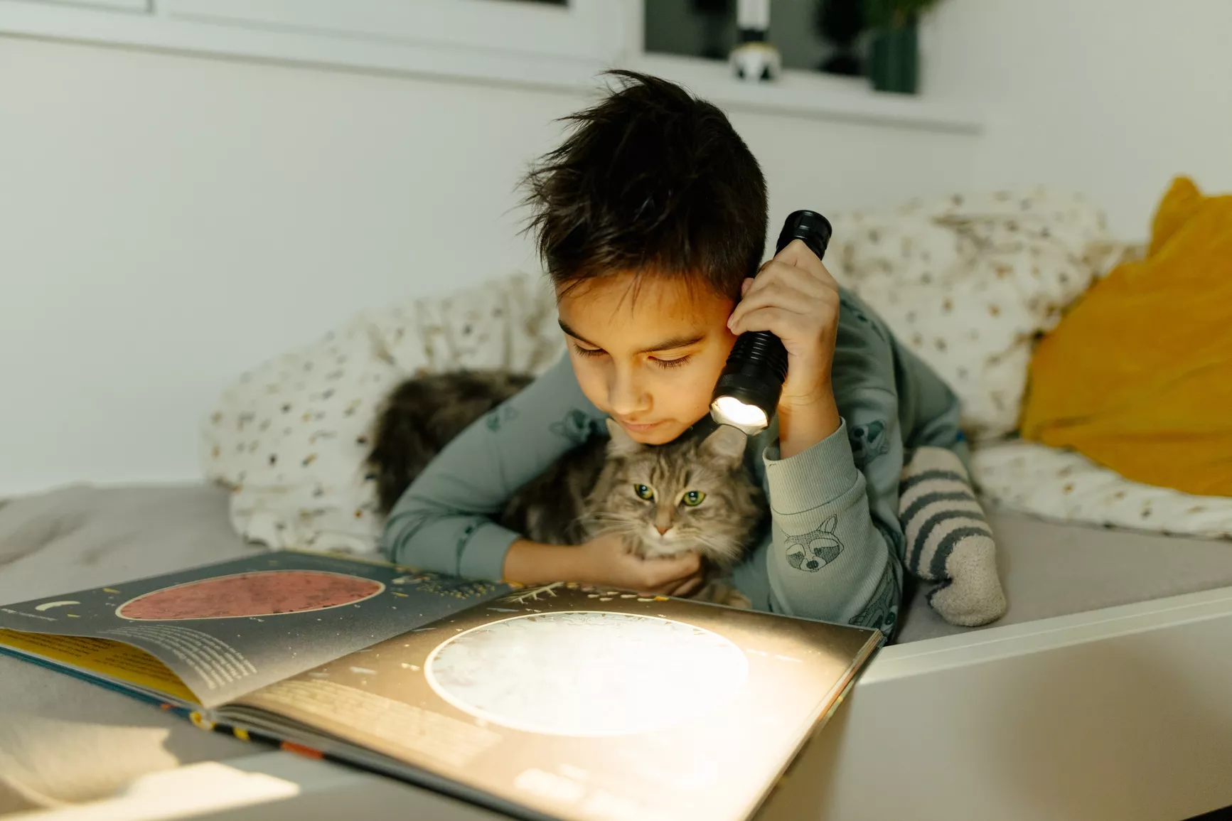 Photo of a boy holding a flashlight and reading a picture book in bed. A cat snuggles with him.